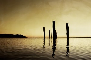 In Silence